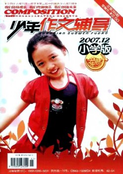 少年作文教导杂志