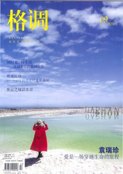 风格杂志