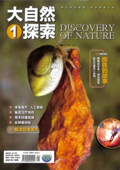 大天然摸索杂志
