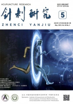 针刺研讨杂志