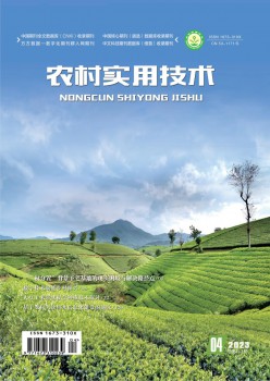 乡村适用手艺杂志