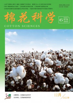 棉花迷信杂志