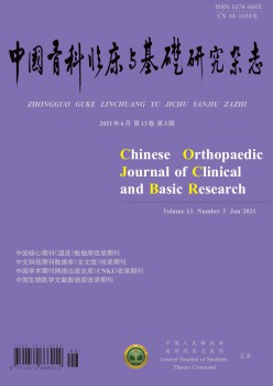 中国骨科临床与根本研讨杂志