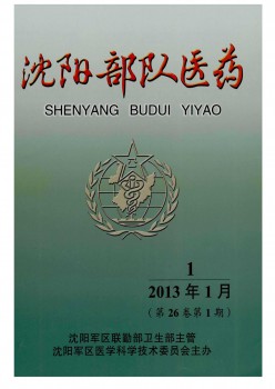 沈阳队伍医药杂志