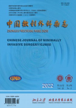 中国微创内科杂志