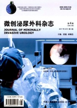微创泌尿内科杂志