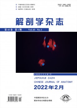 剖解学杂志