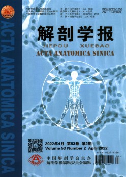 剖解学报杂志