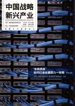 中国计谋新兴财产杂志