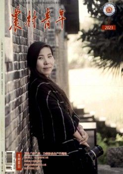 村子青年杂志