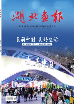湖北游览杂志