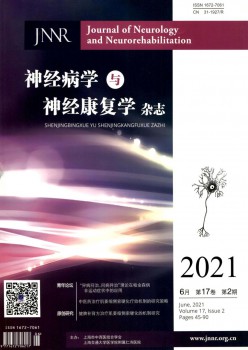 精力病学与精力病愈学杂志