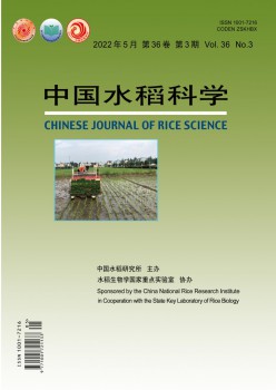 中国水稻迷信杂志