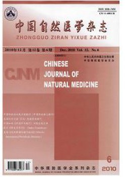 中国天然医学杂志