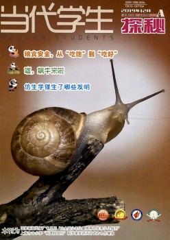 今世先生杂志