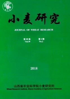 小麦研讨杂志
