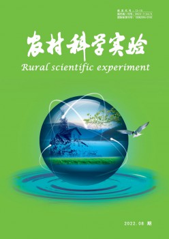 村落迷信尝试杂志
