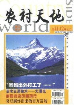 乡村六合杂志