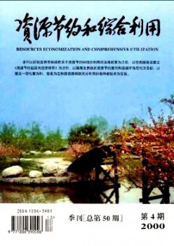 资本节俭和综合操纵杂志
