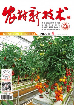 乡村新手艺杂志