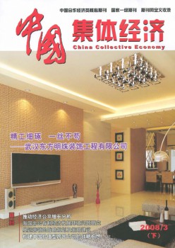 中国个人经济·下半月杂志