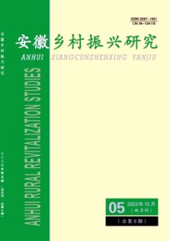 安徽村落复兴研讨杂志