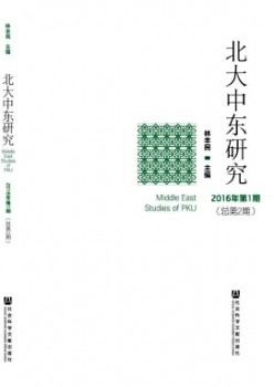 北大中东研讨杂志