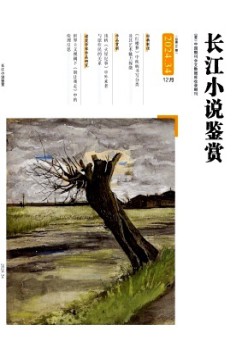 长江小说观赏杂志